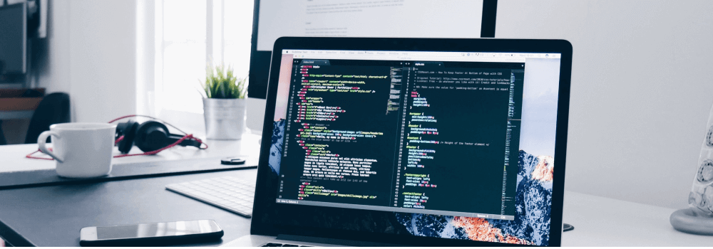 SoftwareDeveloper